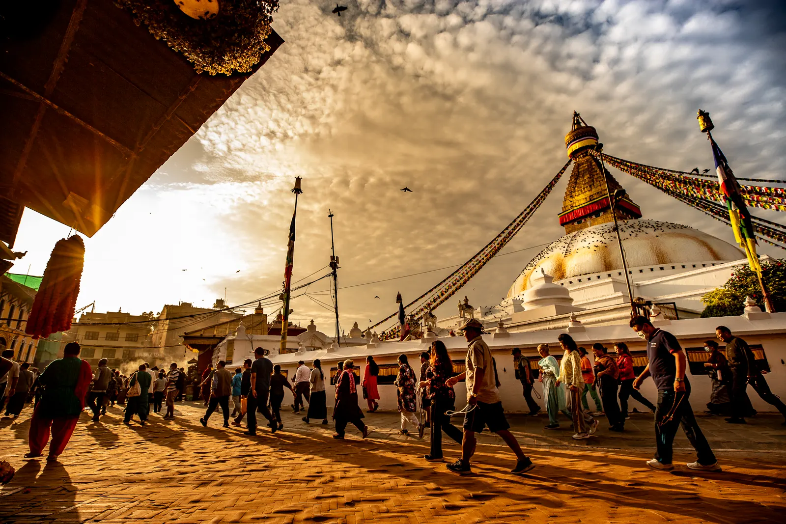 Peregrinación Tíbet - PAZ MX