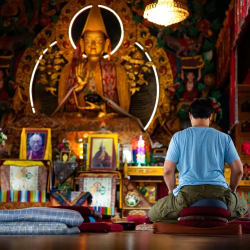 Meditación - PAZ MX